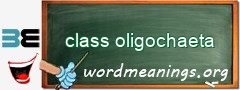 WordMeaning blackboard for class oligochaeta